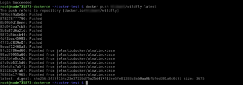 Image 6: docker push