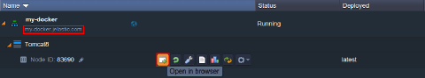 Image 38: container domain name