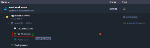 Image 55: copy public IP address