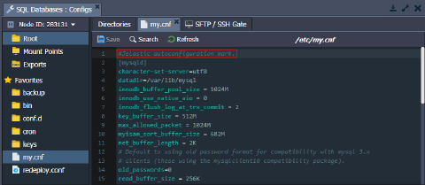 Image 31: PaaS autoconfiguration mark