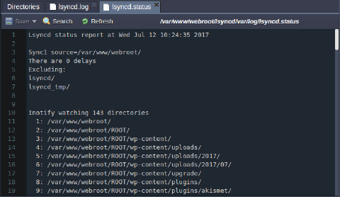 Image 20: lsyncd status