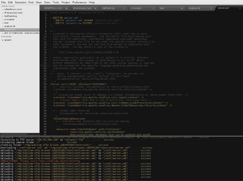 Image 17: Sublime file configuration