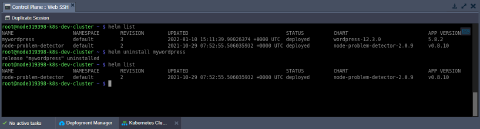 Image 21: helm list and uninstall commands