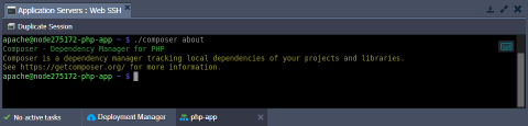 Image 38: SSH PHP Composer about