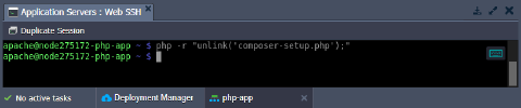 Image 39: SSH remove Composer installer