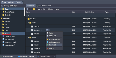 Image 49: PostgreSQL SSL certificates