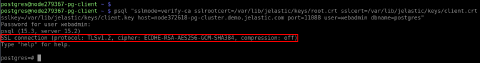 Image 61: PostgreSQL client certificates connection