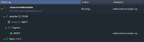 Image 46: WebSockets application deployed