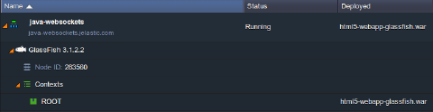 Image 40: WebSockets Java deployed