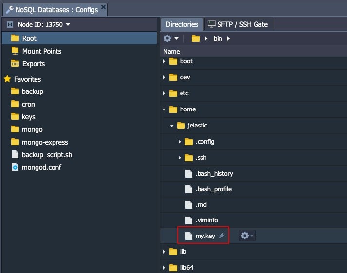 ภาพประกอบขั้นตอนการใช้งาน Ruk-Com Cloud PaaS
